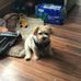 Avon Brown - Facebook