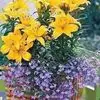 Avon Mccook - @avon.mccook - TikTok