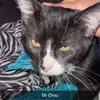 avonjackson21 - @avonjackson21 - TikTok