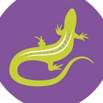 🦎Avon Heath Country Park🦎 - @avonheathrangers - Instagram