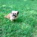 Avon Park - Facebook