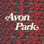 Avon Park - @avonparkband - Instagram