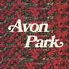 Avon Park - @avonparkband - TikTok