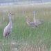 Avon Park Lakes, Florida - Facebook