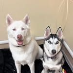 Avon - @avon_wilson - Instagram