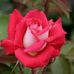 Avonna Brown - Facebook