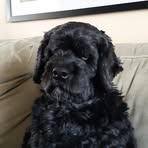 Avery Decoste - Facebook