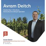 Avram Deitch - @avramdrealestate - Instagram