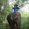 Avram Miller - @user59513244 - TikTok