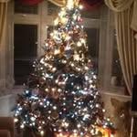 Avril - @avrilbaker1 - Instagram