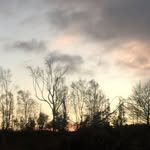 Avril Browne - @avrilbrowne320 - Instagram