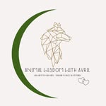 Avril Chambers - @animalwisdomwithavril - Instagram