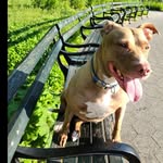 Avril Chase - @bajaninnyc - Instagram