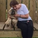 Avril Henry - @avs_2017 - Instagram