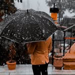 𝓐𝔀𝓪𝓲𝓼 𝓜𝓪𝓵𝓲𝓴 ⚜️ - @awais_malick777 - Instagram