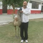 Awanindra Singh - @awanindras - Instagram