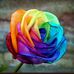 Awilda Rivera - Facebook