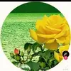 Rosa Awilda Santana Reyes - @rosa.awilda.santa - TikTok
