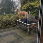 Axel Ackermann - @axel.ackermann.7 - Instagram
