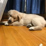 Axel Baker - @himynameisno_axelb - Instagram