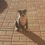 Axel Barba - @axelbarba30 - Instagram
