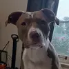 Axel Bell - @axel.bell1 - TikTok