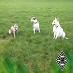 Axel Bender - Facebook