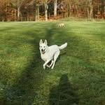 Axel Bender - @benderaxel - Instagram