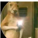 Axel - @axel_benjamin._ - Instagram