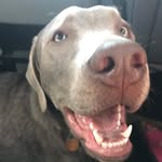 Axel Bennett - @axelf5k - Instagram