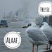 Axel Berg - Facebook