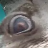 axelgithbergpersson1 - @axelgbglass - TikTok