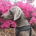 Axel Bishop - Facebook