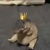 axell - @axel.blanco_ - TikTok