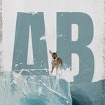 Axel Bloom - @axelbloomsbilder - Instagram