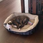 Axel Cameron - Facebook