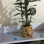 Axel Cameron - Facebook