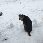 Axel Cameron - Facebook