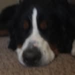 Axel_clark - @axel_1224321 - Instagram