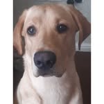 Axel Clark - @4get.axelclark_5 - Instagram