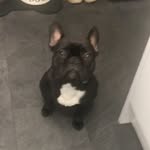 @axelclark313 - Instagram