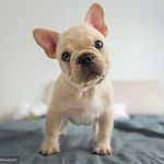 Axel Cook - @ily52262 - Instagram