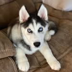 Axel Cooper - @axeltheaxxhole - Instagram