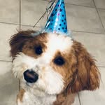 Axel Cooper - @axel.cooper_05.22 - Instagram