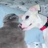 Itsmemom - @hereaxelcooper - TikTok