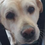 Axel Davidson - Facebook