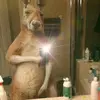 Axel Dilan - @axel.dilan.castel - TikTok