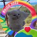Axel Dobson - Facebook