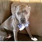 Axelevans - @axelevans14 - Instagram