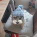 Axel Hoffmann - Facebook